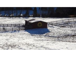 290 Hartman Road Jonesborough, TN 37659 - Photo 3 of 15 Photo 3