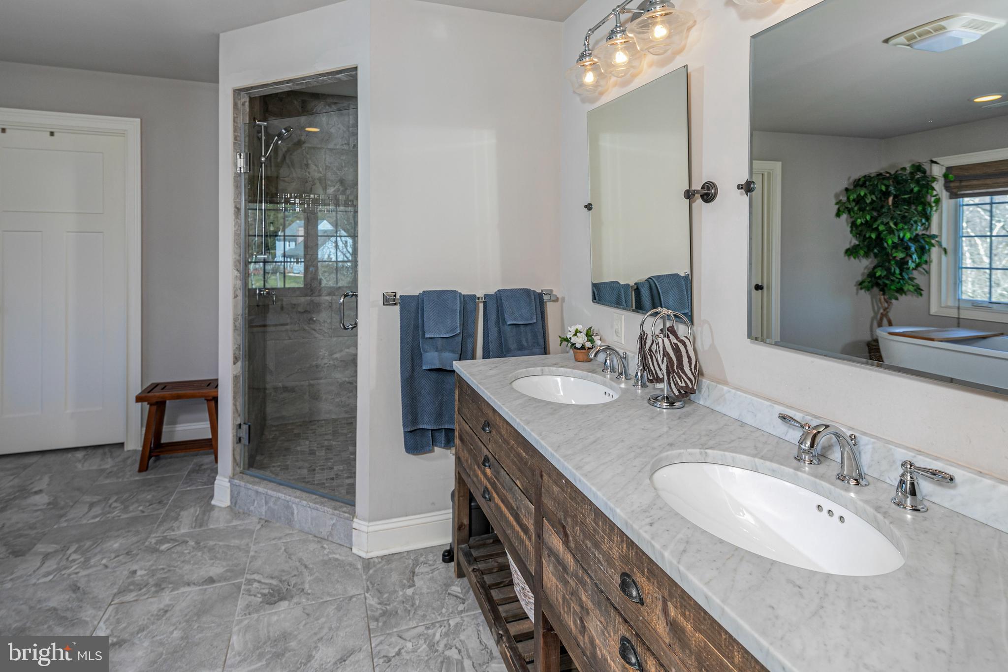 196 Sunset Road Skillman, NJ 08558 - Photo 21 of 42 Primary Bathroom