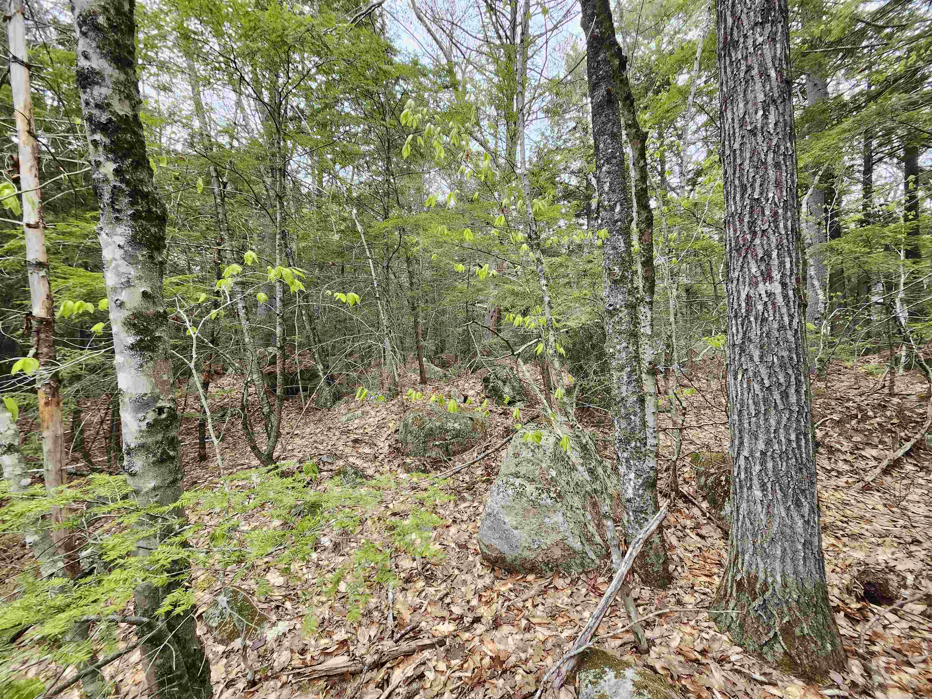 101-15 North Shore Road New Durham, NH 03855 - Photo 11 of 14