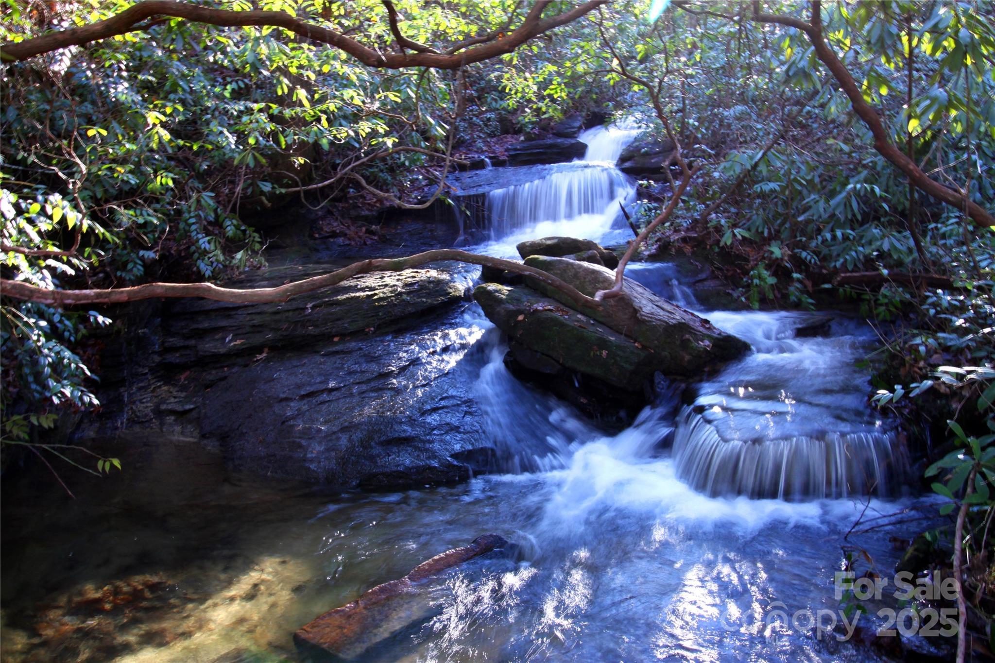 999 Cascade Lake Road Cedar Mountain, NC 28718 - Photo 1 of 23 Gallery Image 1