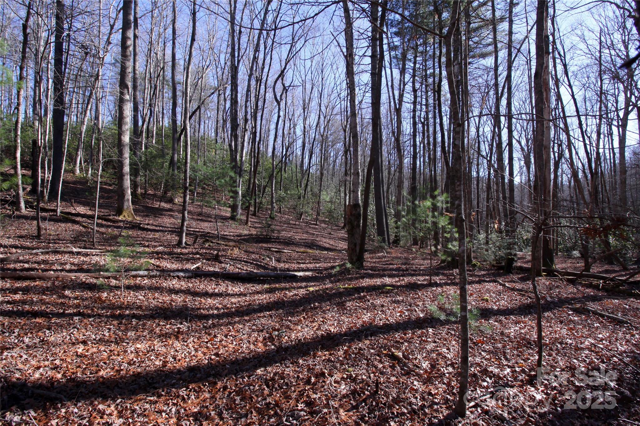 999 Cascade Lake Road Cedar Mountain, NC 28718 - Photo 11 of 23 Gallery Image 11