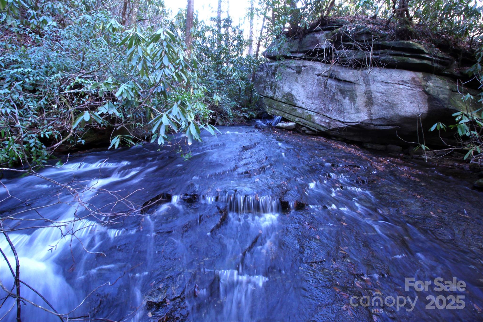 999 Cascade Lake Road Cedar Mountain, NC 28718 - Photo 13 of 23 Gallery Image 13