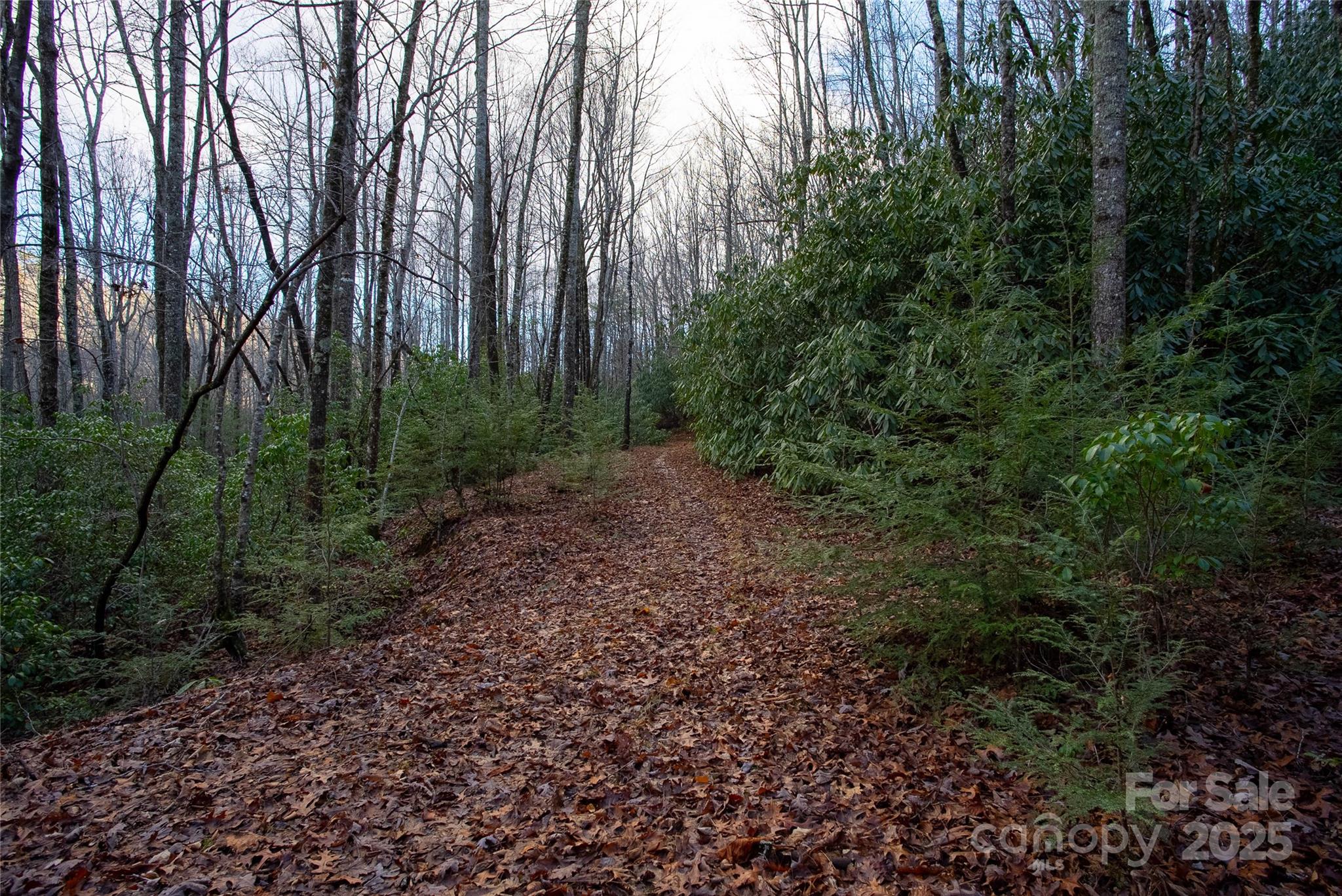 999 Cascade Lake Road Cedar Mountain, NC 28718 - Photo 15 of 23 Gallery Image 15