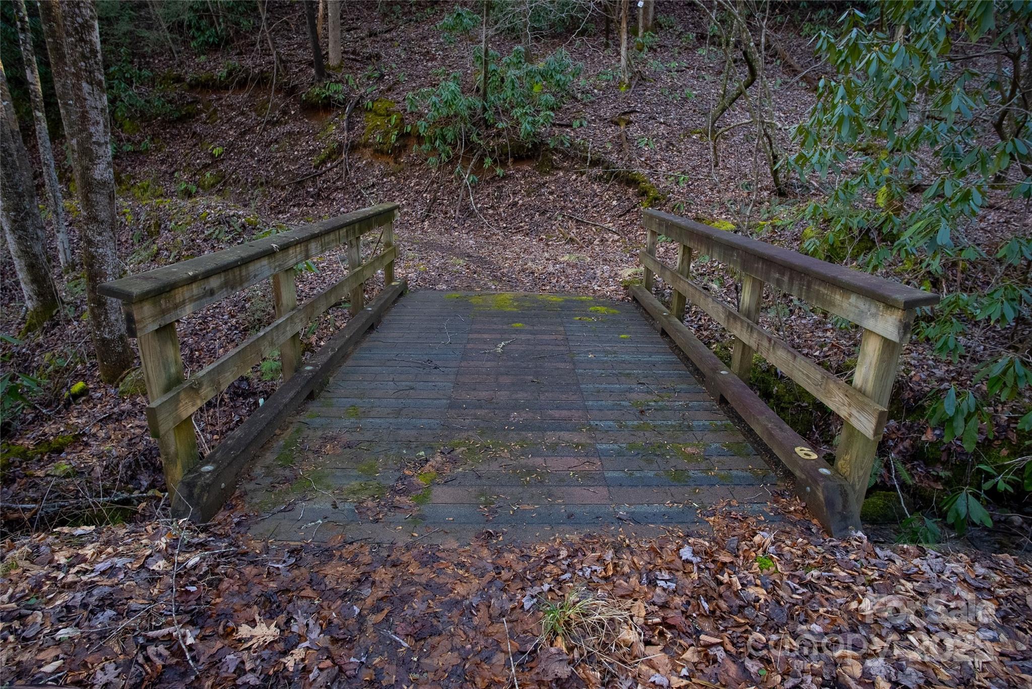 999 Cascade Lake Road Cedar Mountain, NC 28718 - Photo 16 of 23 Gallery Image 16