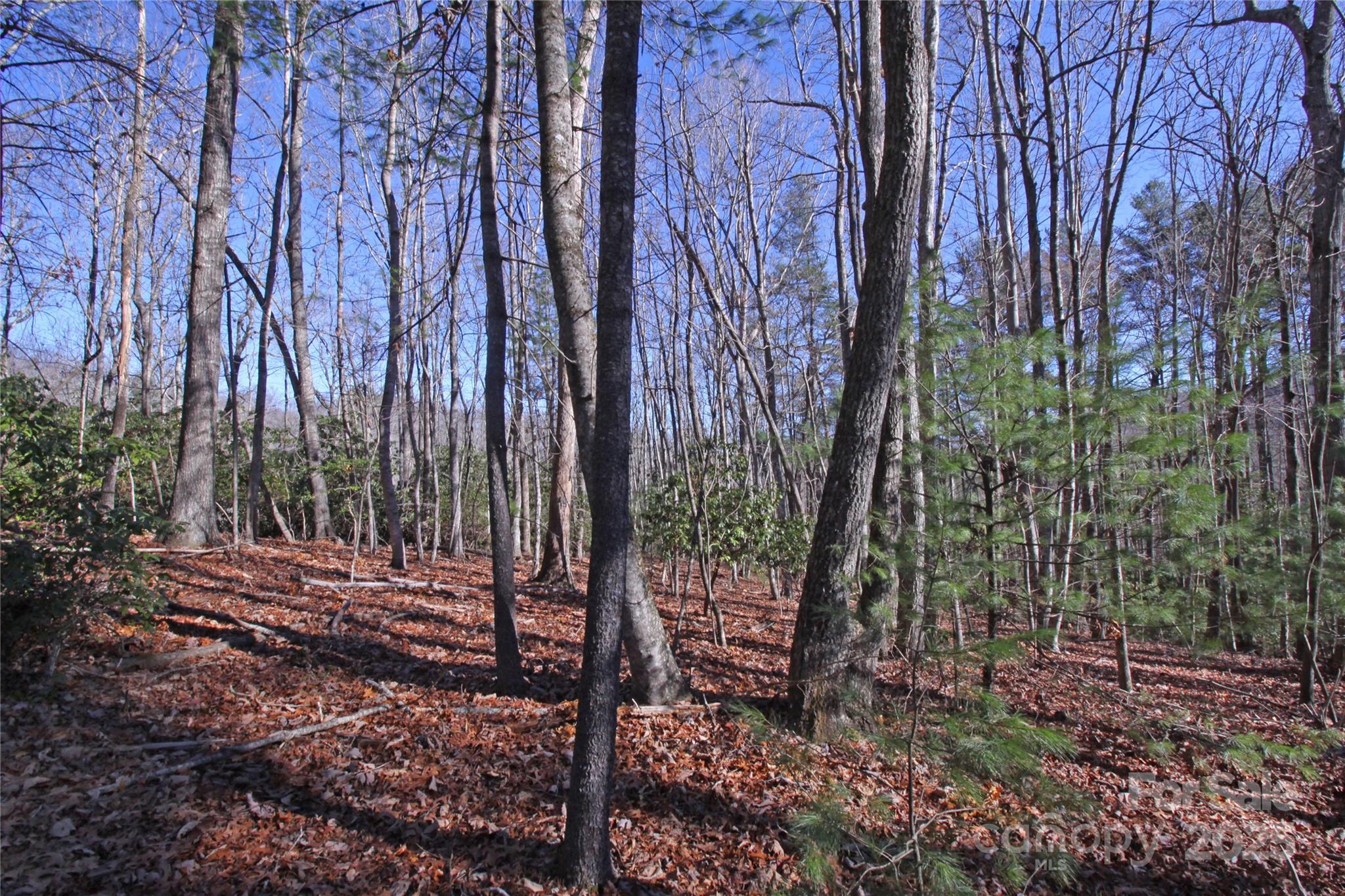 999 Cascade Lake Road Cedar Mountain, NC 28718 - Photo 19 of 23 Gallery Image 19