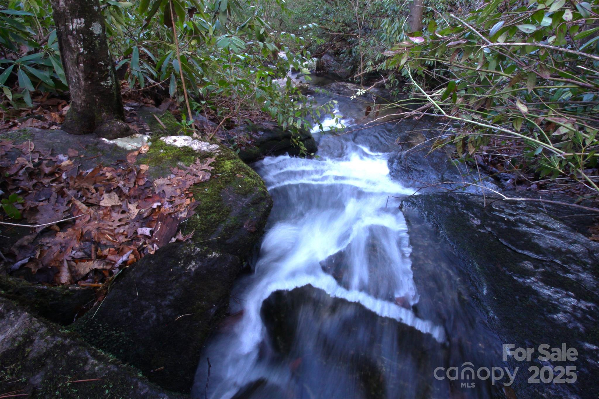 999 Cascade Lake Road Cedar Mountain, NC 28718 - Photo 21 of 23 Gallery Image 21