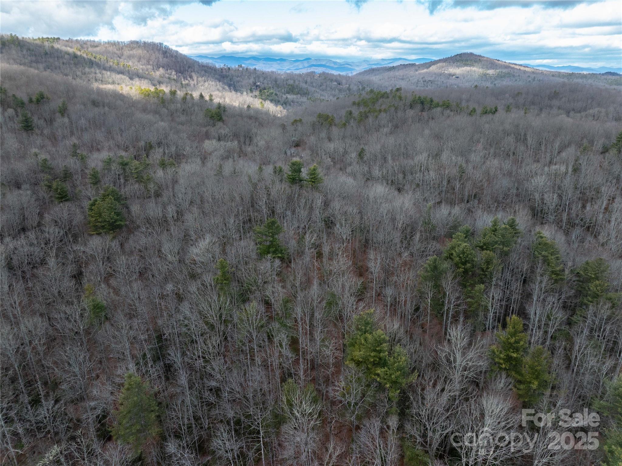 999 Cascade Lake Road Cedar Mountain, NC 28718 - Photo 23 of 23 Gallery Image 23