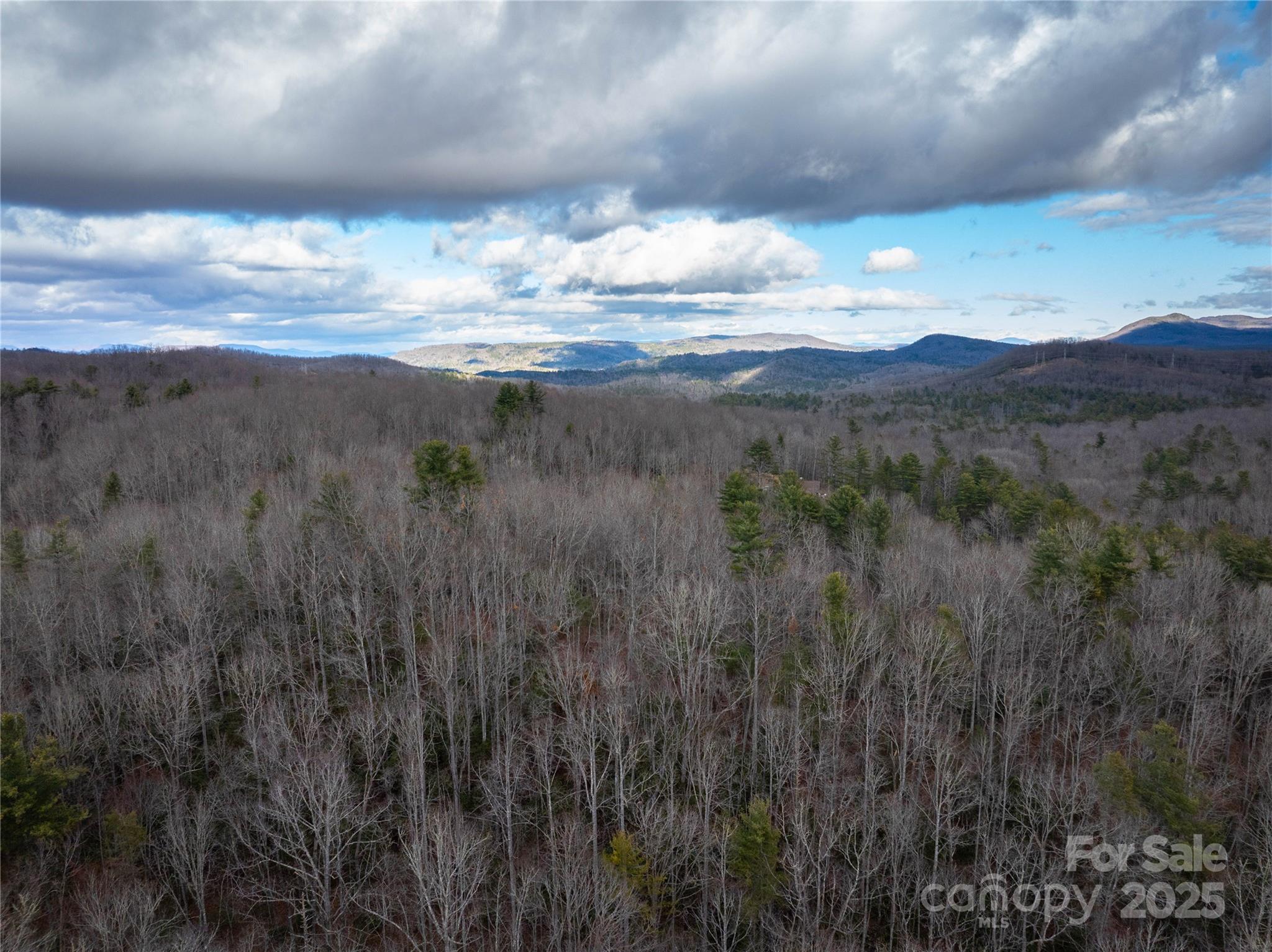 999 Cascade Lake Road Cedar Mountain, NC 28718 - Photo 4 of 23 Gallery Image 4