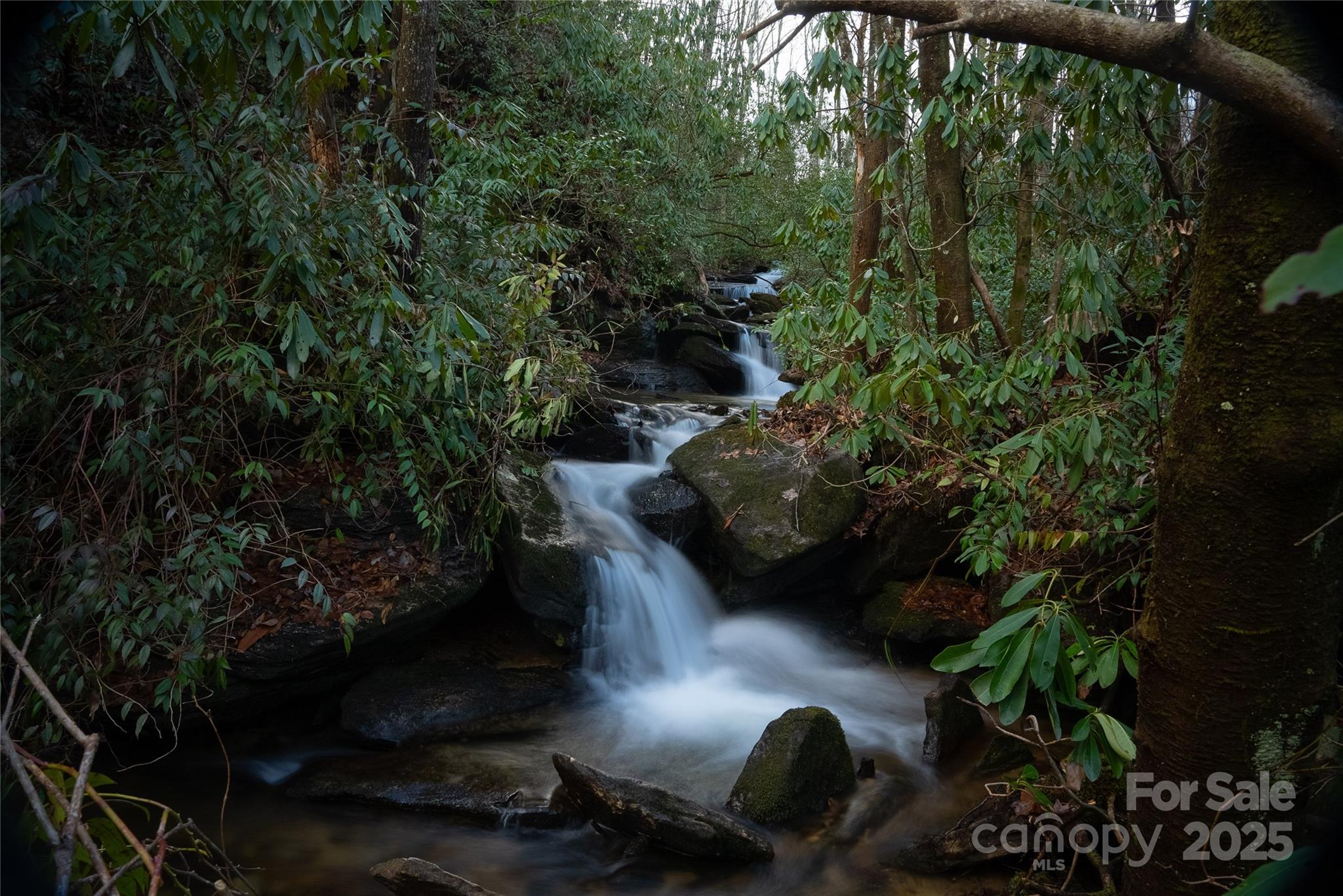 999 Cascade Lake Road Cedar Mountain, NC 28718 - Photo 5 of 23 Gallery Image 5