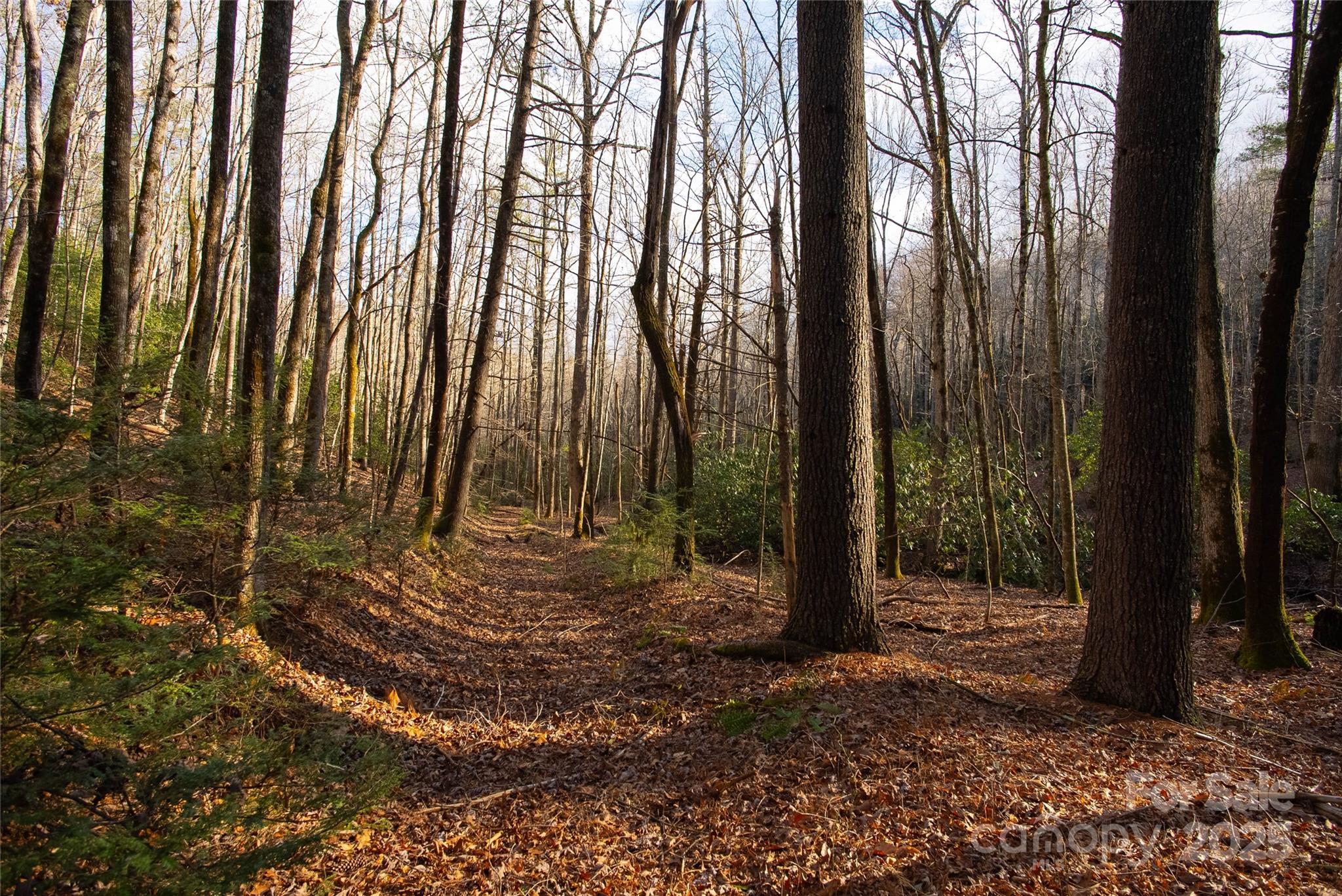 999 Cascade Lake Road Cedar Mountain, NC 28718 - Photo 6 of 23 Gallery Image 6