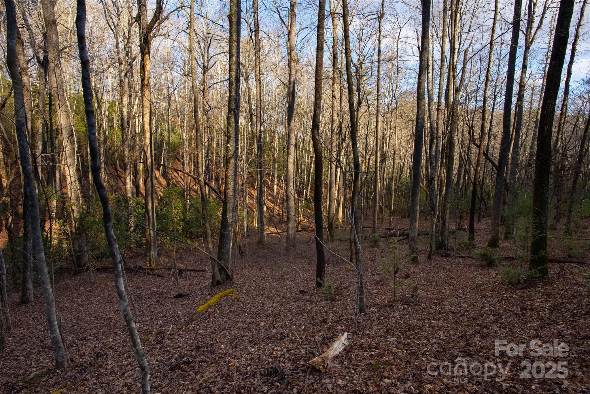 999 Cascade Lake Road Cedar Mountain, NC 28718 - Photo 7 of 23 Gallery Image 7