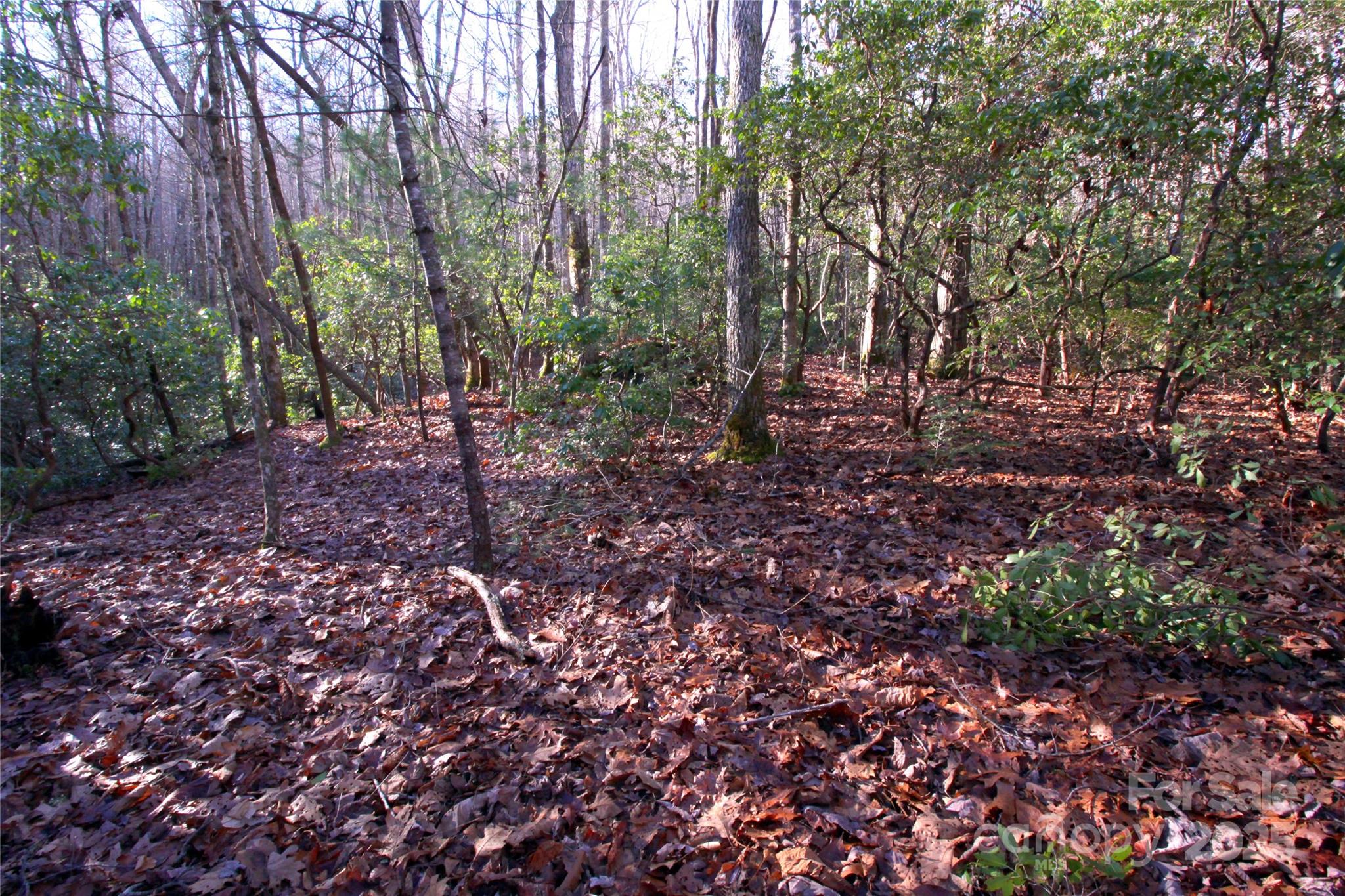 999 Cascade Lake Road Cedar Mountain, NC 28718 - Photo 8 of 23 Gallery Image 8