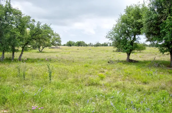 a view of yard with green space