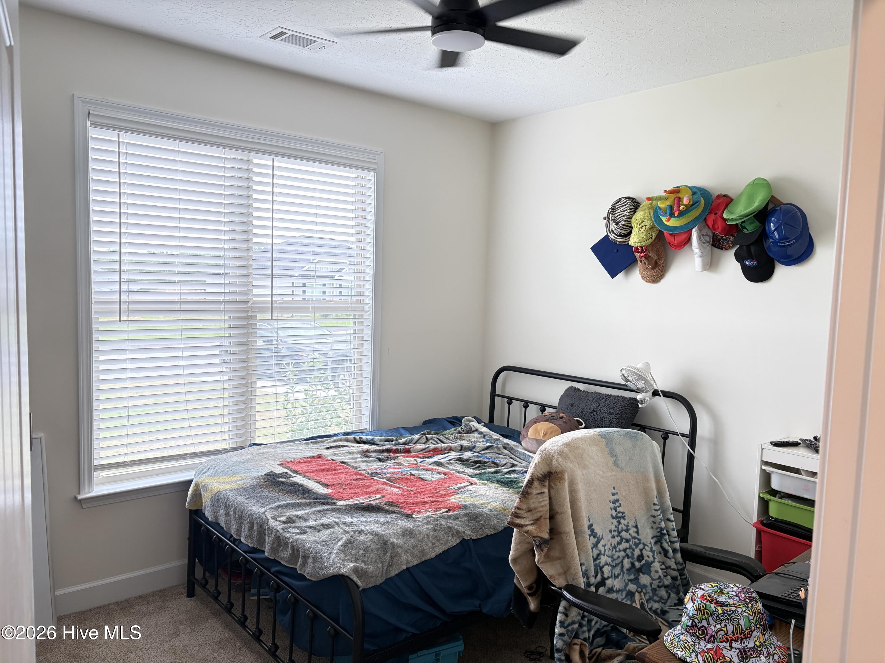 885 Inlet Surf Way Warrenville, SC 29851 - Photo 18 of 34 Bedroom # 3