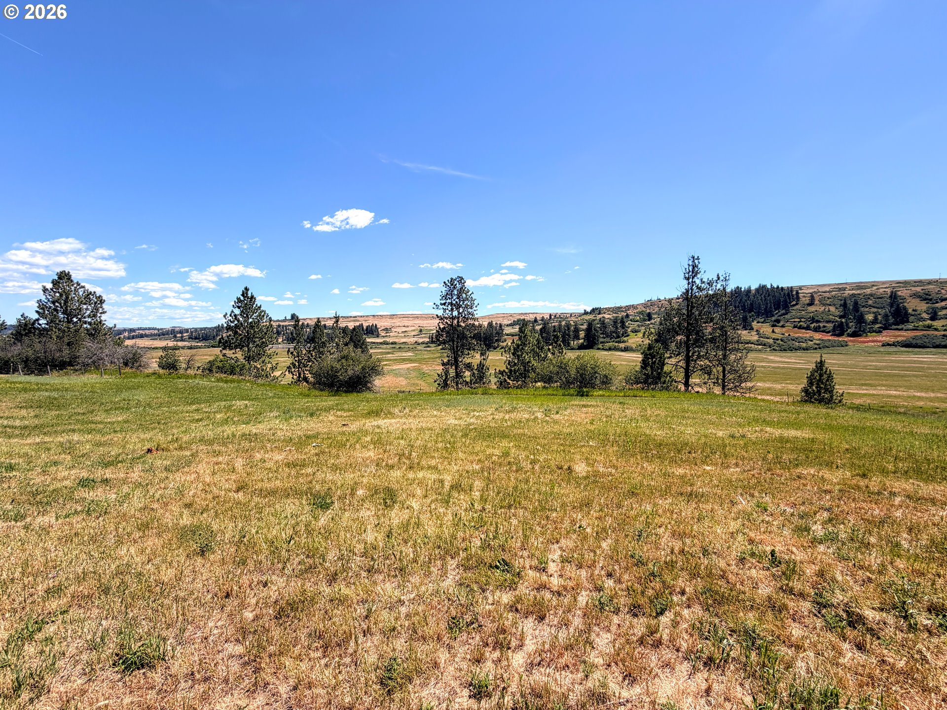 825 Palmer Junction Road Elgin, OR 97827 - Photo 5 of 22 Acreage