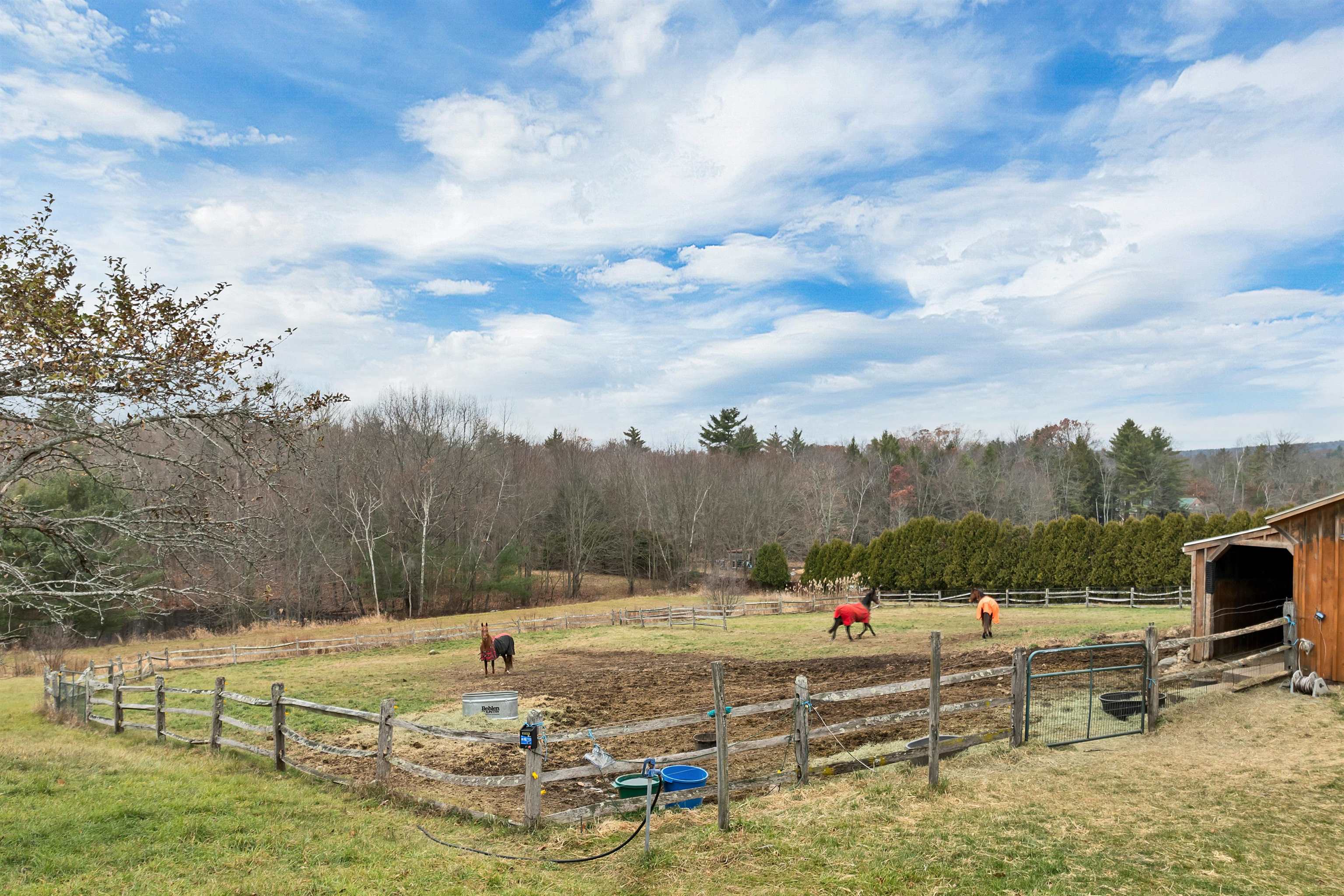 227 Twist Hill Road Dunbarton, NH 03046 - Photo 45 of 60