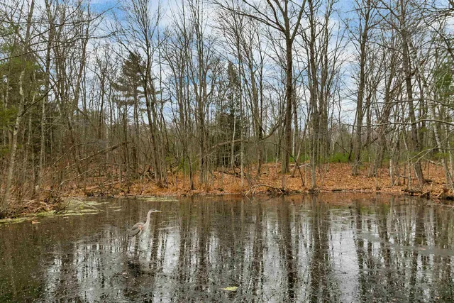 $650,000 | 227 Twist Hill Road, Dunbarton, NH 03046