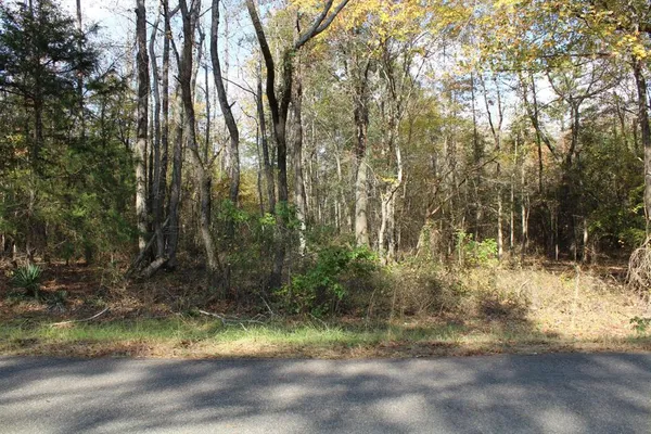 a view of backyard of a house