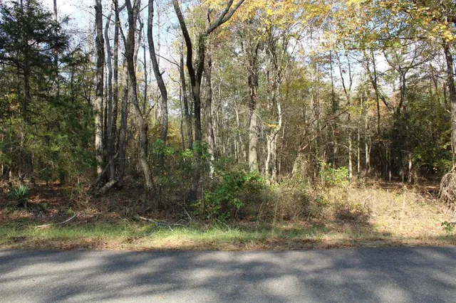 a view of backyard of a house