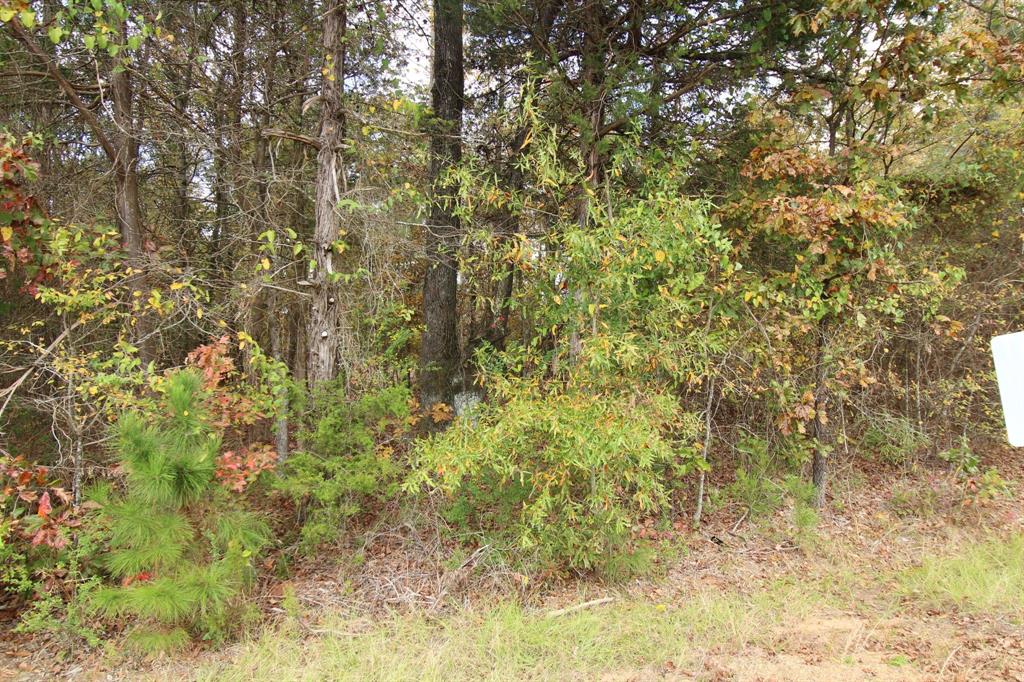 0 Harris Road Minden, LA 71055 - Photo 5 of 8 a view of a yard with a tree