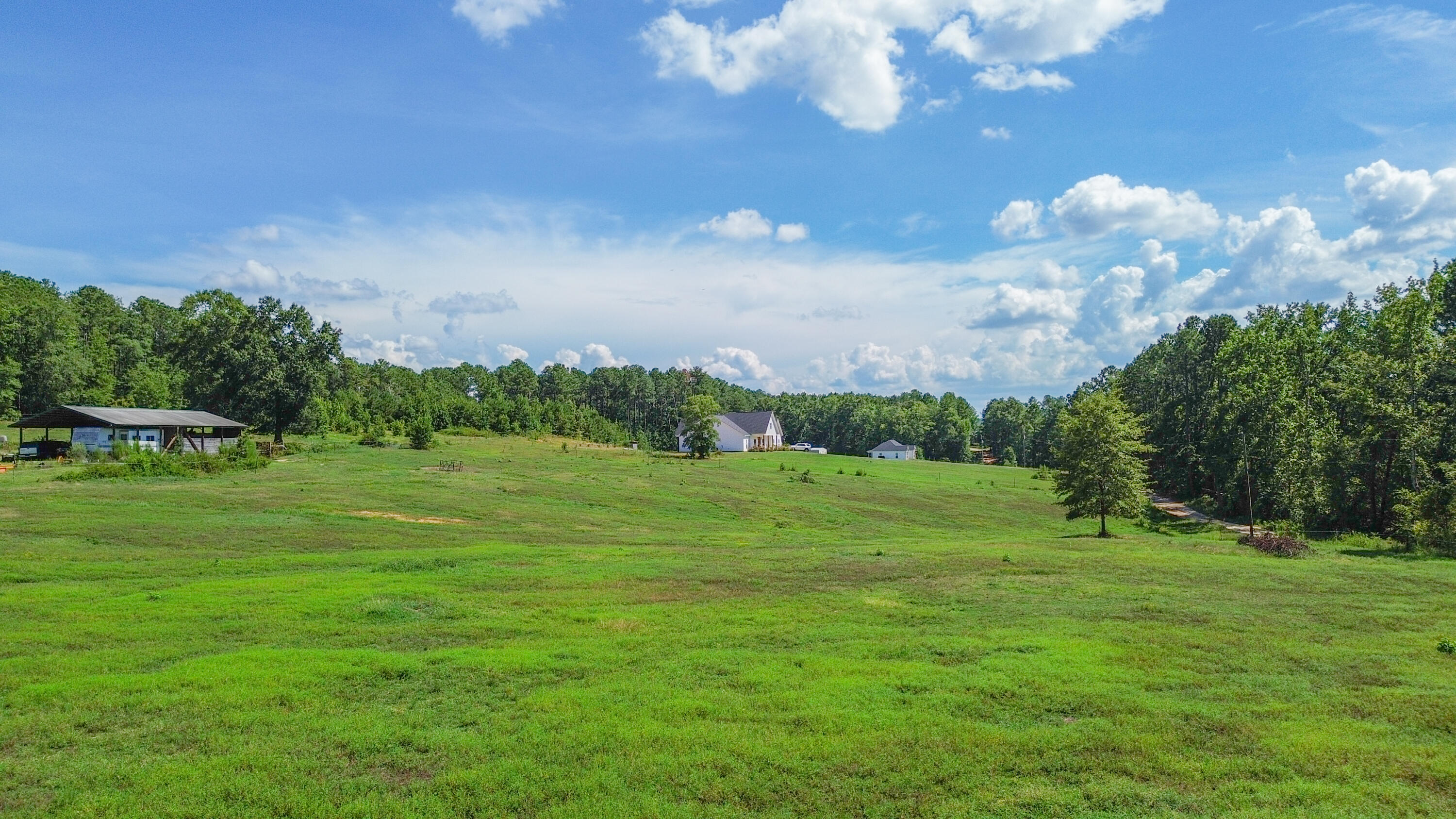 840 Captain John Brown Road Appling, GA 30802 - Photo 3 of 9 DJI_0037