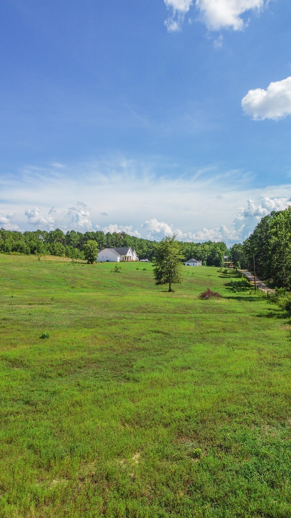 840 Captain John Brown Road Appling, GA 30802 - Photo 6 of 9 DJI_0042