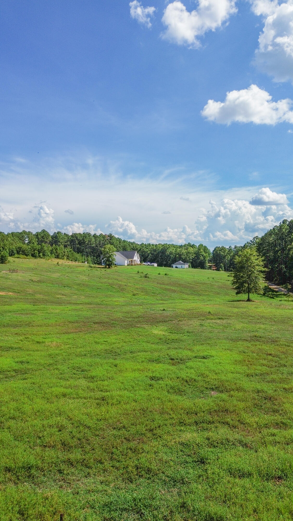 840 Captain John Brown Road Appling, GA 30802 - Photo 8 of 9 DJI_0045