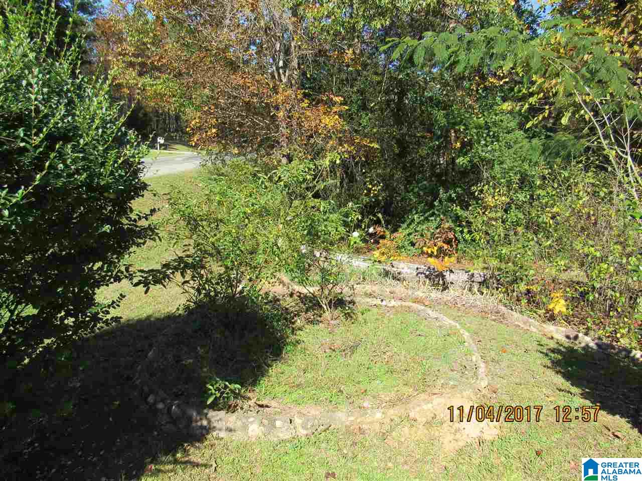 52 County Road 607 Clanton, AL 35046 - Photo 14 of 33