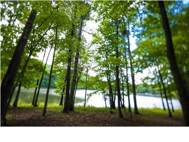 316 Walker Branch Road Dunlap, TN 37327 - Photo 22 of 35 Additional Photo