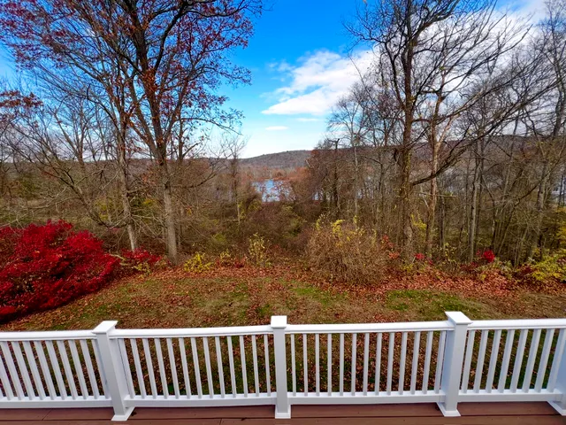 a view of a yard with large trees
