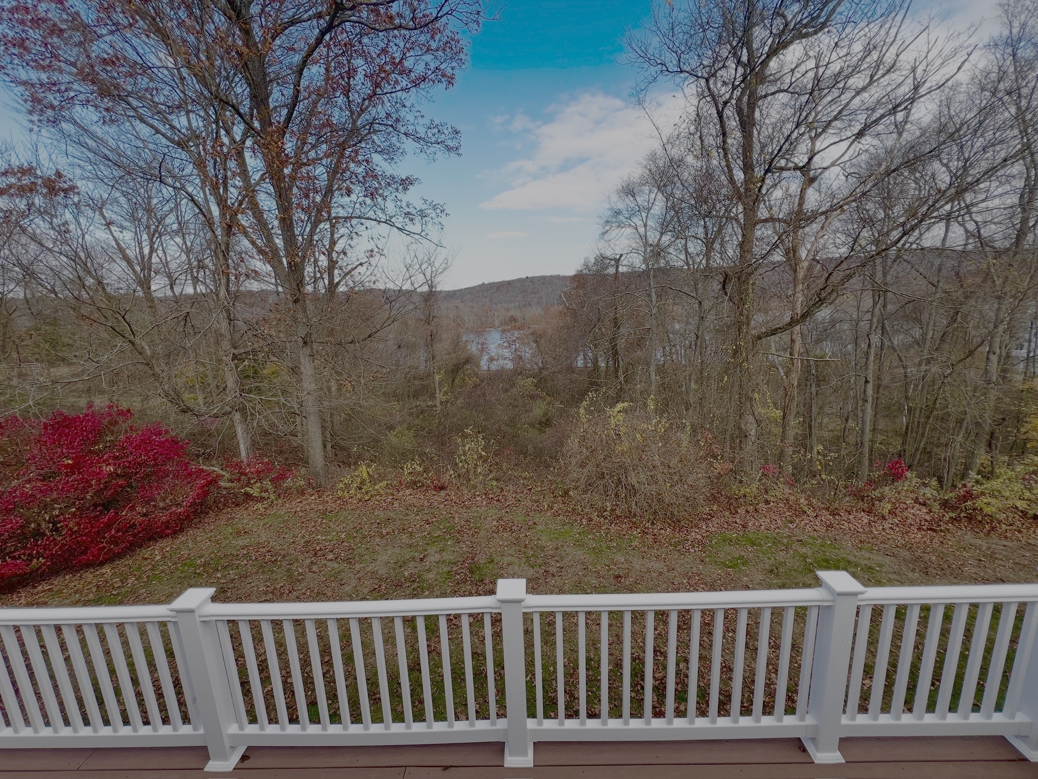 524 Saybrook Road Haddam, CT 06438 - Photo 3 of 38 a view of a yard with large trees