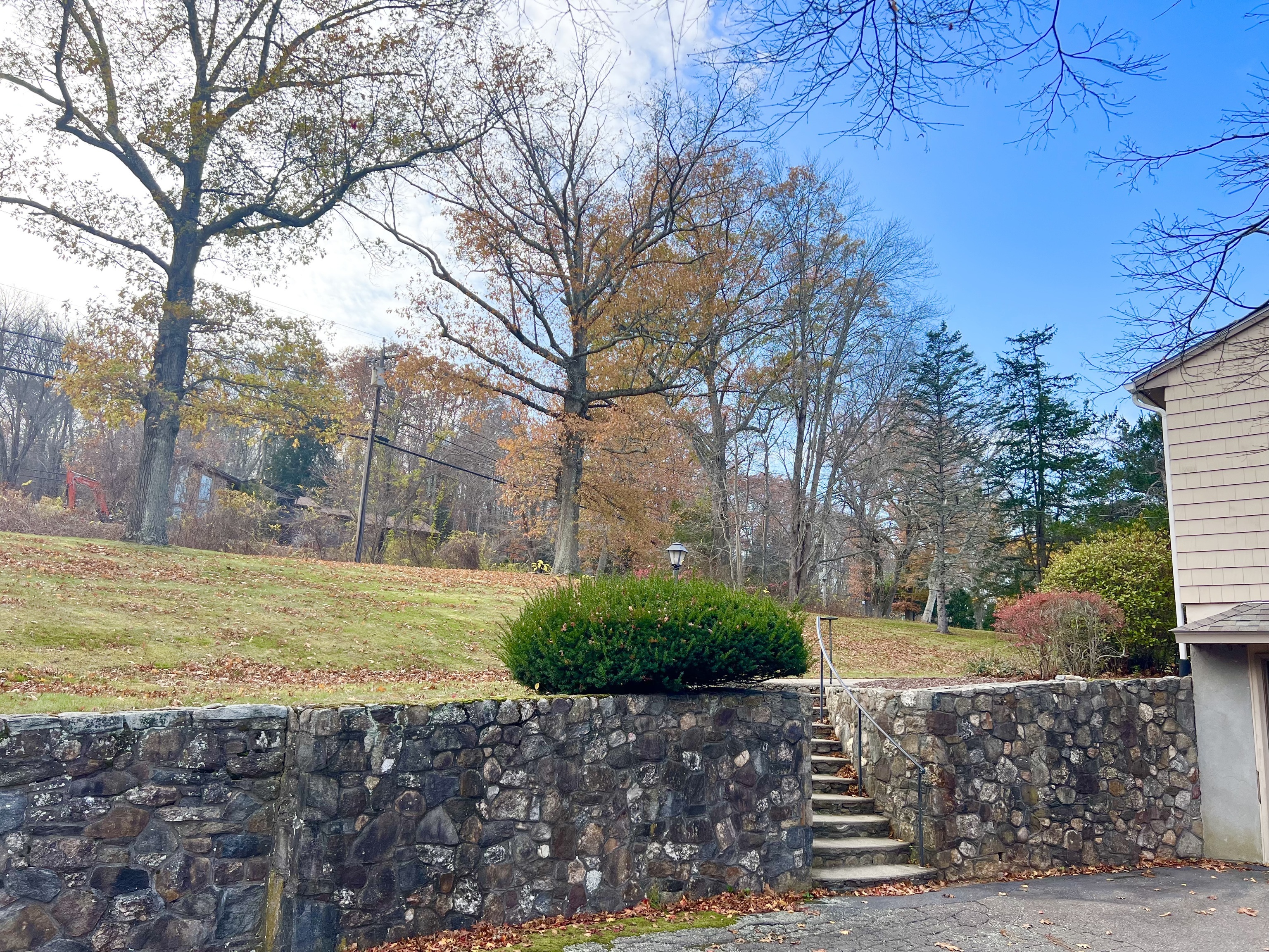 524 Saybrook Road Haddam, CT 06438 - Photo 6 of 38 a view of a yard with a large tree
