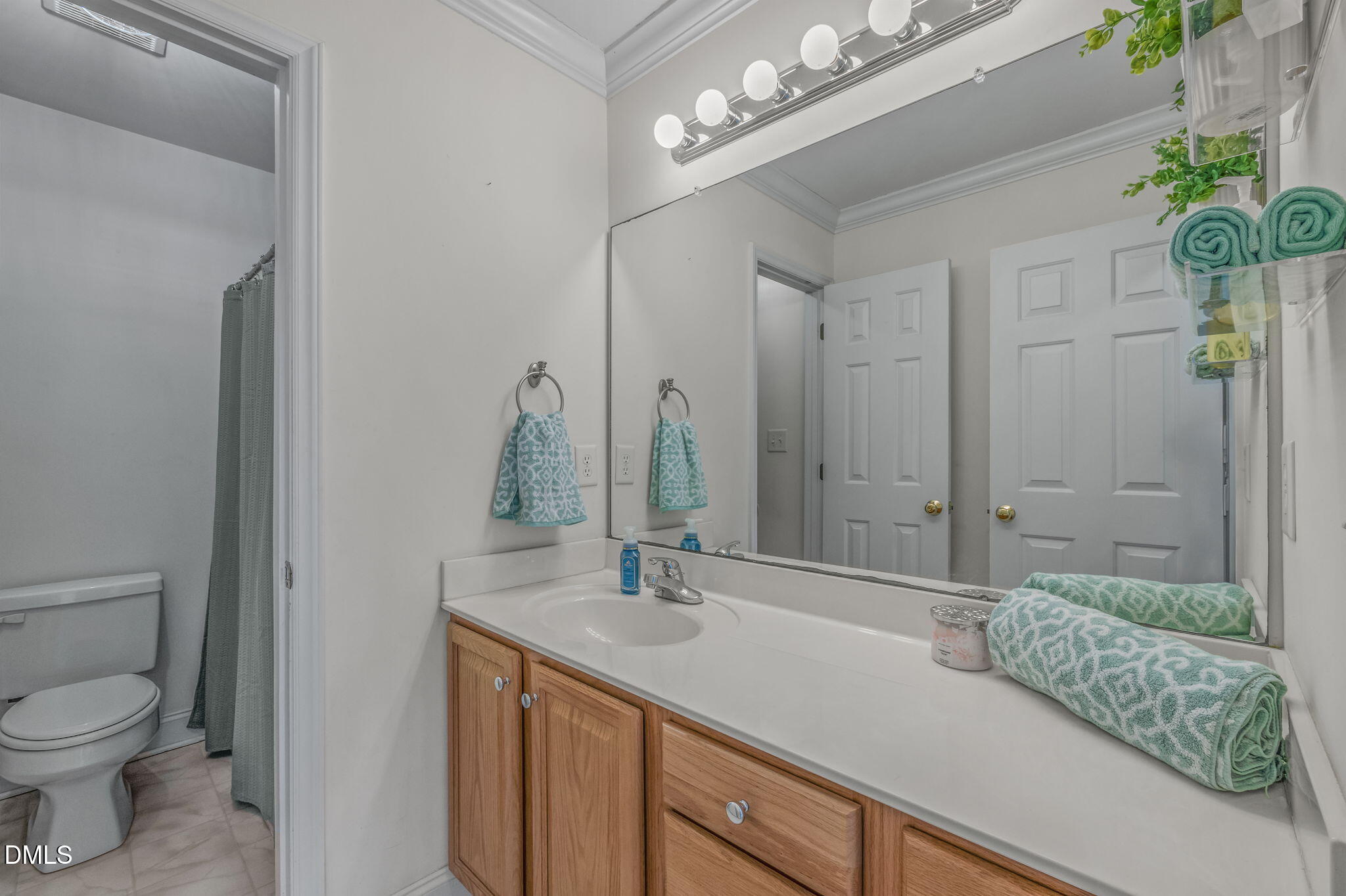 51 Water Front Lane Timberlake, NC 27583 - Photo 27 of 57 a bathroom with a sink a toilet and shower