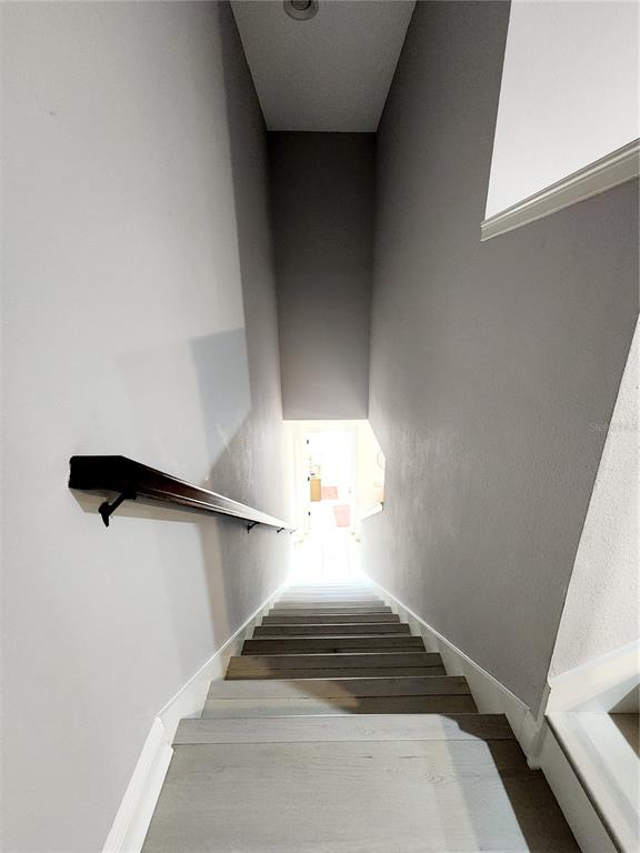 5508 Viola Lee Way Lutz, FL 33558 - Photo 30 of 60