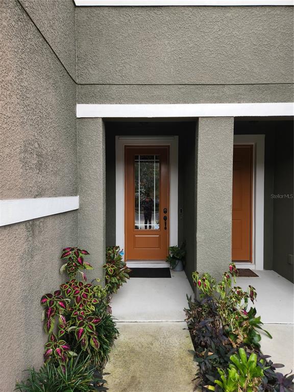 5508 Viola Lee Way Lutz, FL 33558 - Photo 3 of 60