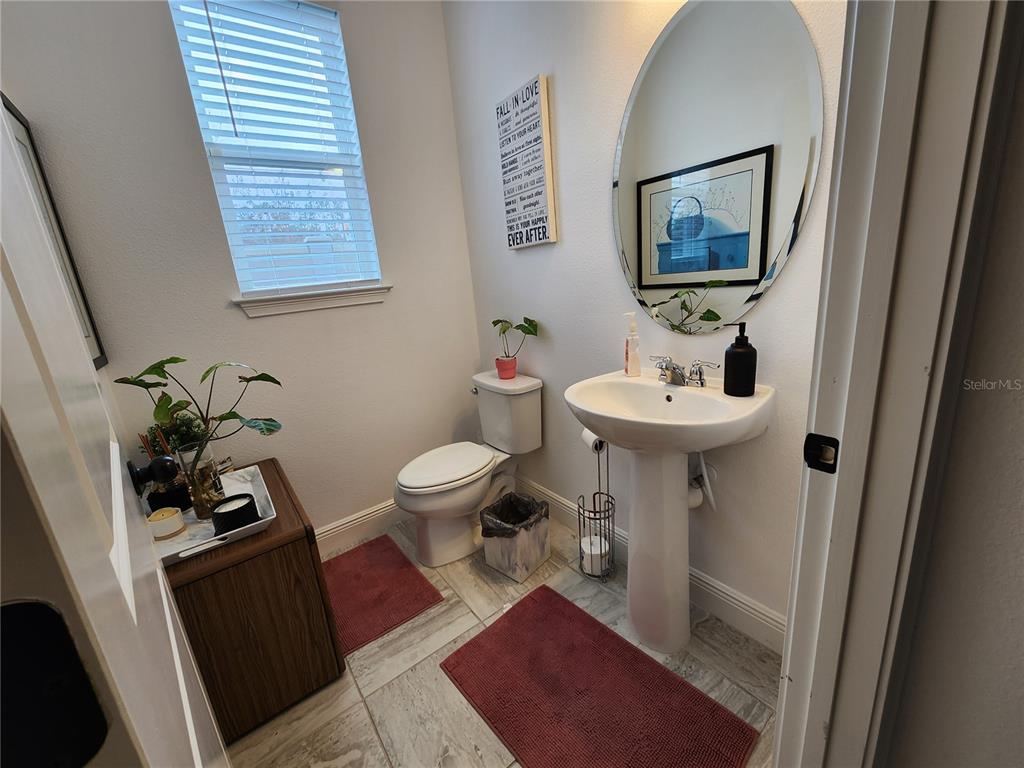 5508 Viola Lee Way Lutz, FL 33558 - Photo 50 of 60 a bathroom with a sink toilet and a mirror