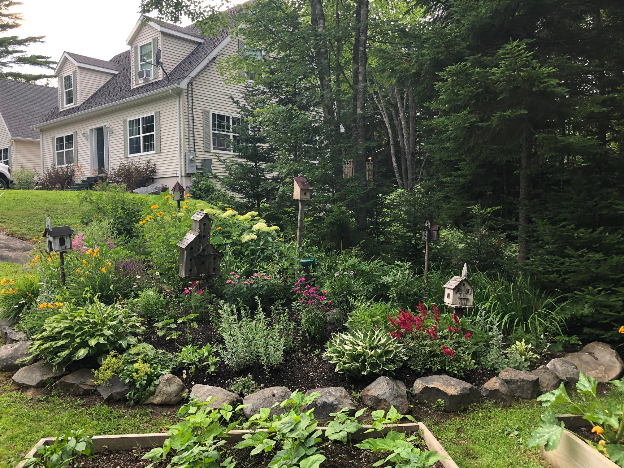 12 Carlson Lane St. George, ME 04860 - Photo 1 of 57 IMG_5058