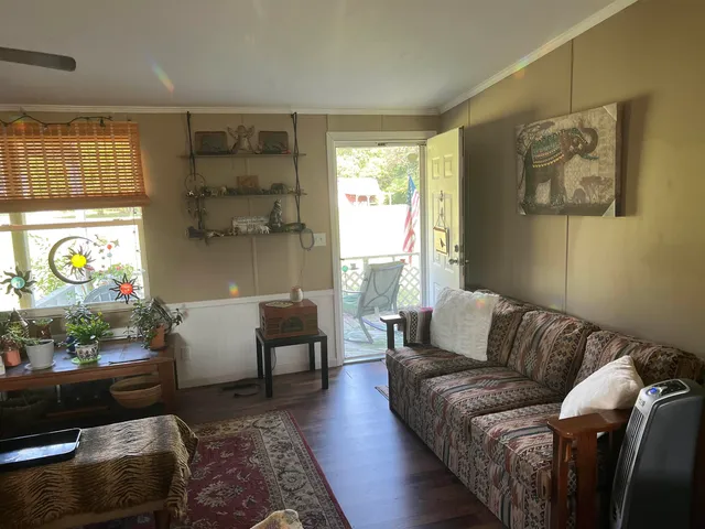 a living room with furniture and a potted plant