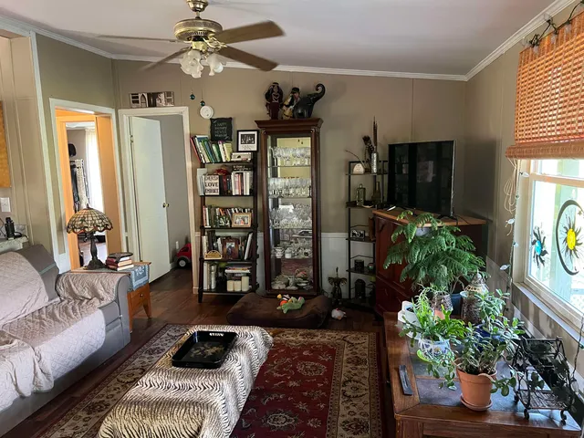 a living room with furniture and a potted plant