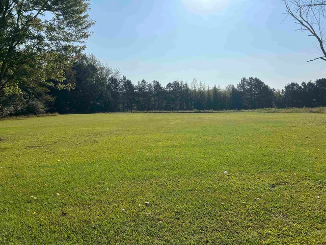 a view of an ocean from a yard