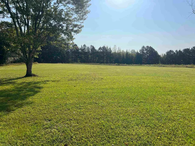 a view of an ocean and trees