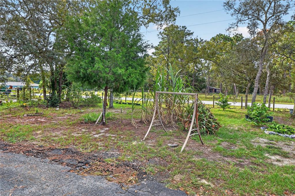 12627 Beagle Road Hudson, FL 34667 - Photo 33 of 35 Gallery Image 33