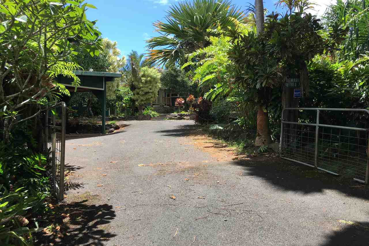 911 Kauhikoa Road Haiku, HI 96708 - Photo 2 of 30 a view of backyard with green space