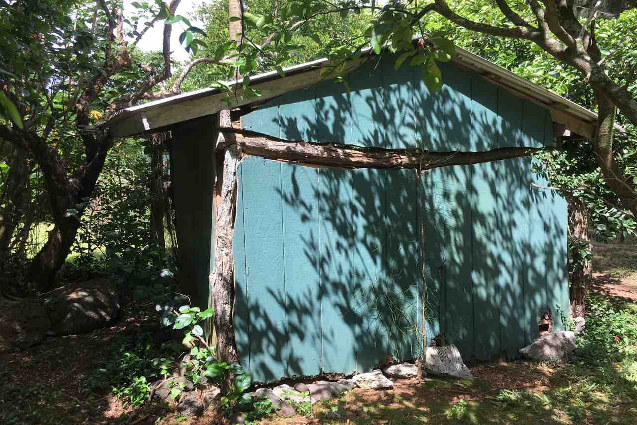 911 Kauhikoa Road Haiku, HI 96708 - Photo 26 of 30 a view of a backyard