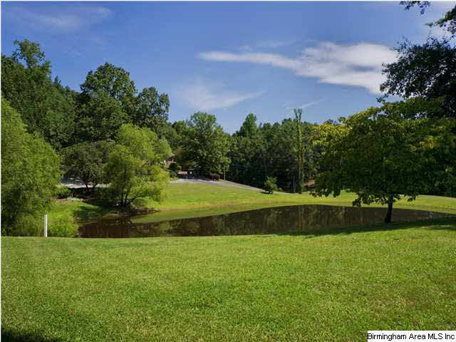 5339 County Road 11 Pelham, AL 35124 - Photo 31 of 32