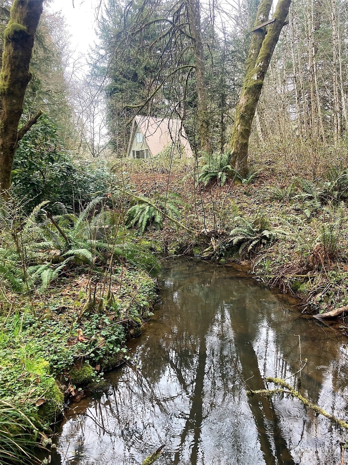 0 Graf Road Centralia, WA 98531 - Photo 1 of 15 Gallery Image 1
