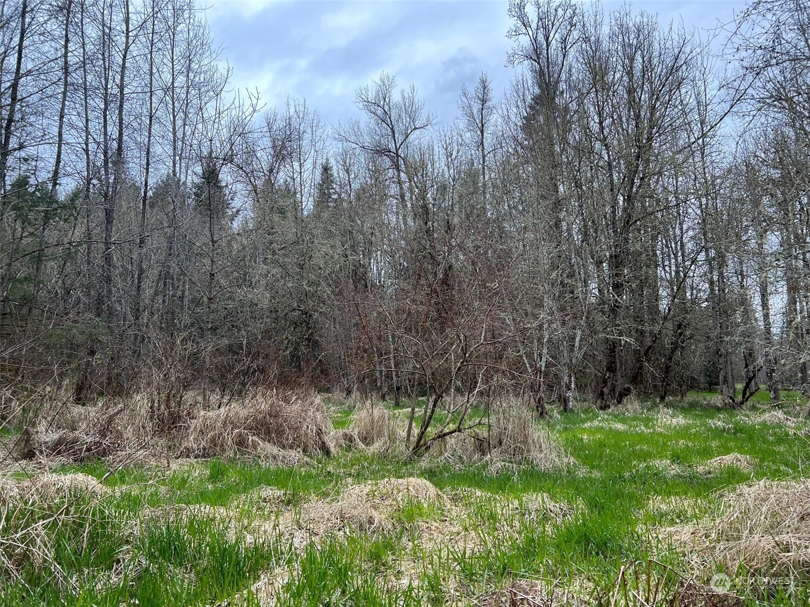 0 Graf Road Centralia, WA 98531 - Photo 5 of 15 Gallery Image 5