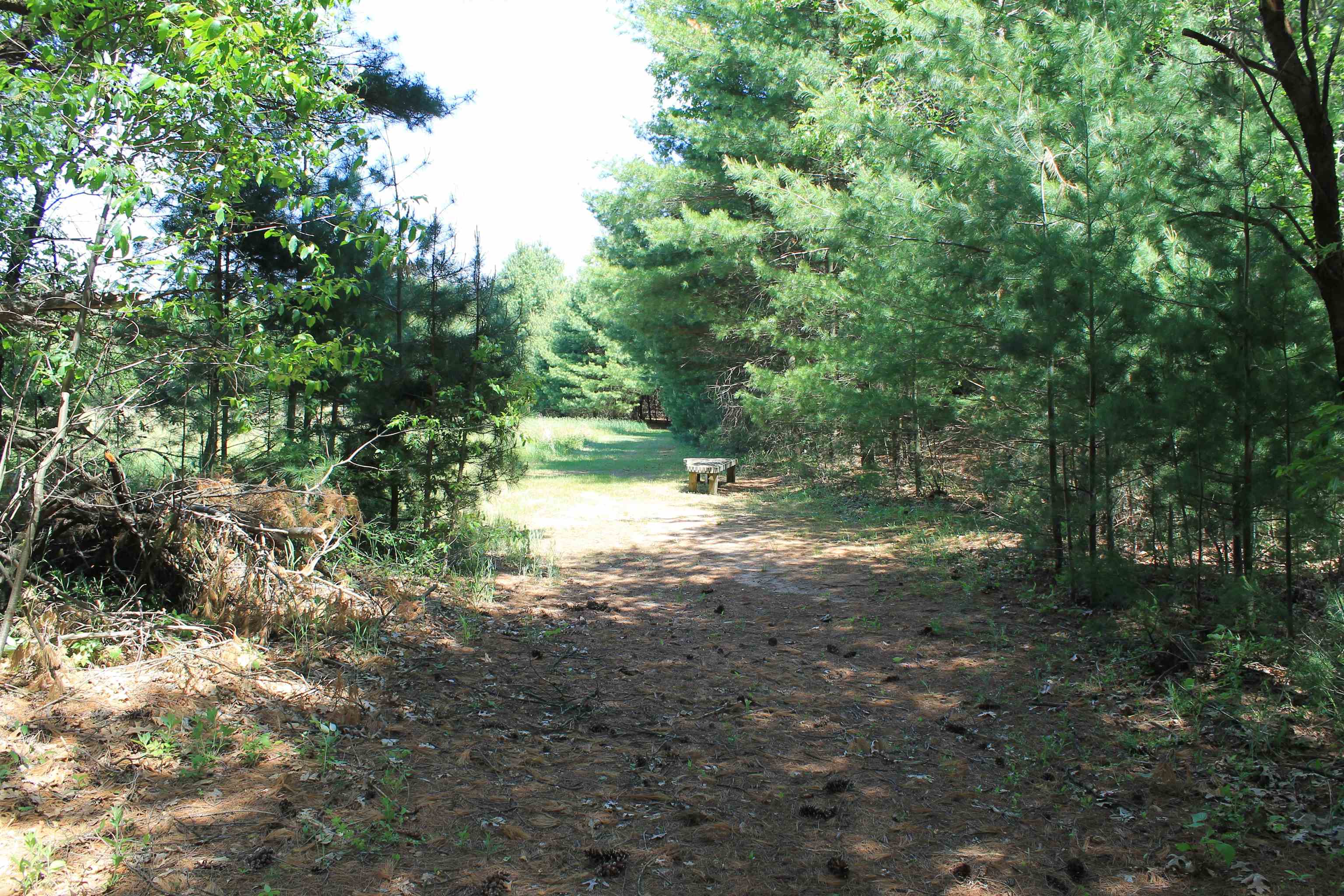 W4301 County Rd A Pine River, WI 54965 - Photo 57 of 62