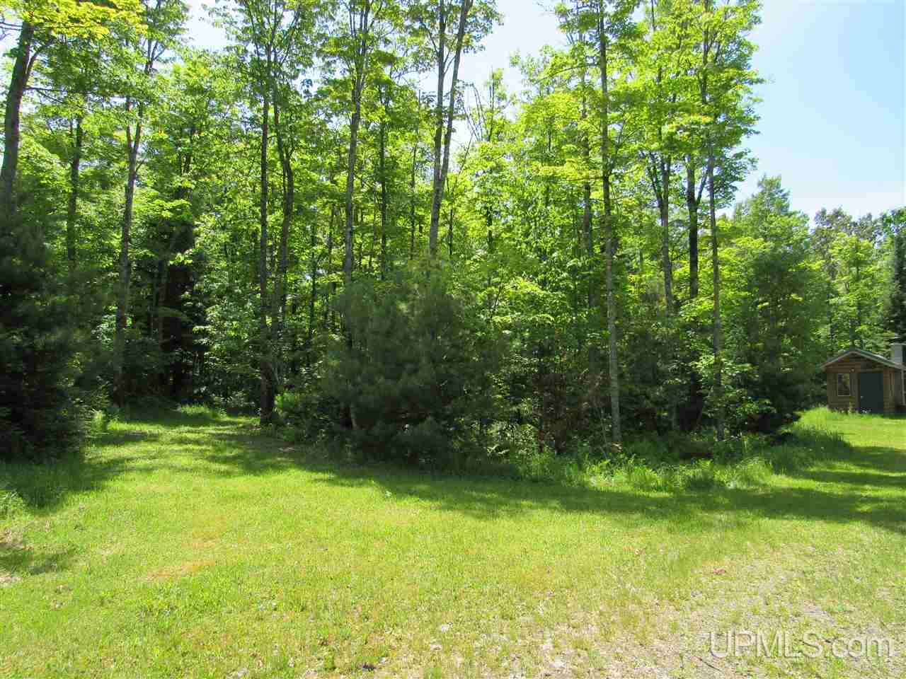23900 Vedder Road Covington, MI 49919 - Photo 23 of 40