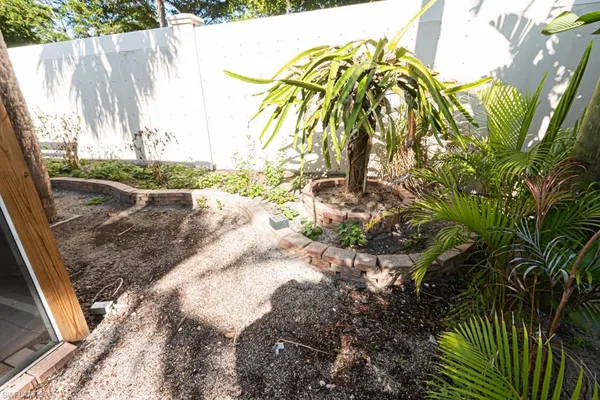a view of a yard with plants and trees